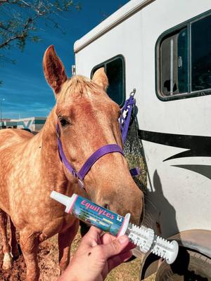 Show full view: Vetline Equine Equilytes Paste Horse Supplement, 66 cc tube slide 3 of 6