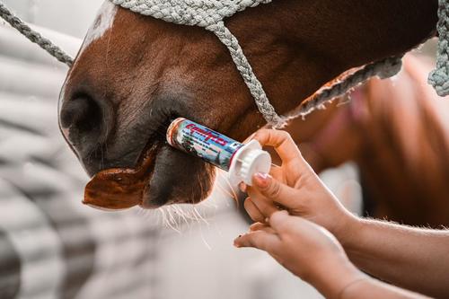 Show full view: Vetline Equine Equilytes Paste Horse Supplement, 66 cc tube slide 2 of 6