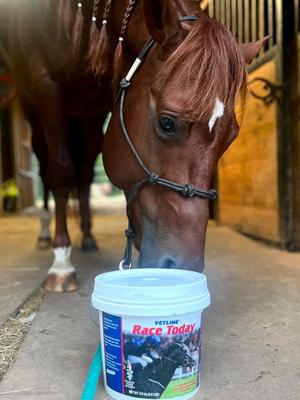 Show full view: Vetline Equine Race Today Horse Supplement, 6.6-lb bucket slide 2 of 3
