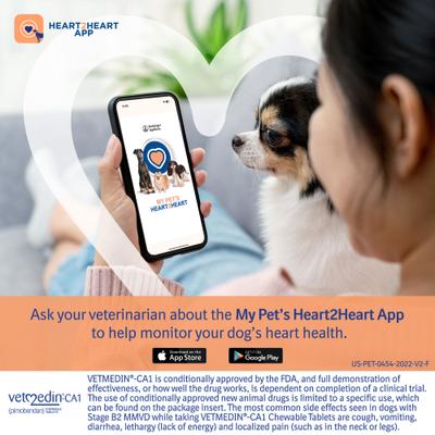 Show full view: Vetmedin-CA1 (pimobendan) Chewable Tablets for Dogs, 1.25-mg, 50 tablets slide 7 of 10