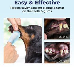 Vetnique Labs Dentabliss Finger Mitt Teeth Cleaning Chicken Flavor Dog Dental Wipes, 50 count slide 2 of 8