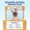 Show in main carousel: Vetnique Labs Dentabliss Finger Mitt Teeth Cleaning Chicken Flavor Dog Dental Wipes, 50 count slide 9 of 9