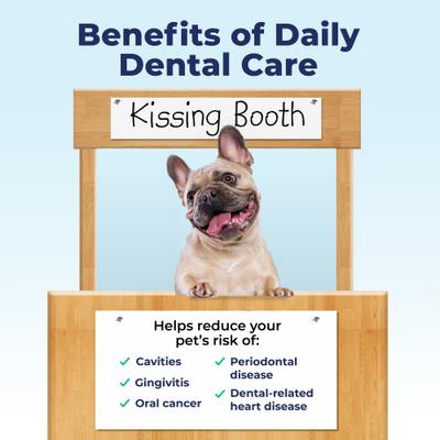 Show full view: Vetnique Labs Dentabliss Finger Mitt Teeth Cleaning Chicken Flavor Dog Dental Wipes, 50 count slide 9 of 9