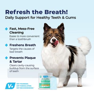 Show full view: Vetnique Labs Dentabliss Finger Mitt Teeth Cleaning Chicken Flavor Dog Dental Wipes, 50 count slide 4 of 9