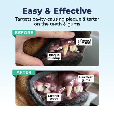 Show full view: Vetnique Labs Dentabliss Finger Mitt Teeth Cleaning Peppermint Flavor Dog Dental Wipes, 50 count slide 7 of 11