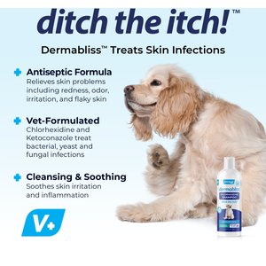 Vetnique Labs Dermabliss Medicated Anti-Bacterial & Anti-Fungal Chlorhexidine Infection Cat & Dog Shampoo, 16-fl oz bottle