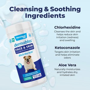 Vetnique Labs Dermabliss Medicated Face, Wrinkle & Skin Fold Chlorhexidine Cat & Dog Grooming Wipes, 60 count
