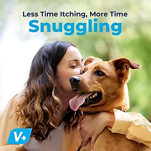 Vetnique Labs Dermabliss Medicated Face, Wrinkle & Skin Fold Chlorhexidine Cat & Dog Grooming Wipes, 60 count