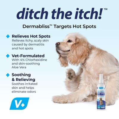 Show full view: Vetnique Labs Dermabliss Medicated Hot Spot Antiseptic Chlorhexidine Dog & Cat Skin Spray, 8-oz bottle slide 4 of 10