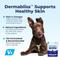 Show in main carousel: Vetnique Labs Dermabliss Omega Skin Health Fish Oil Salmon Flavored Soft Chew Skin & Coat Supplement for Dogs, 30 count slide 4 of 11