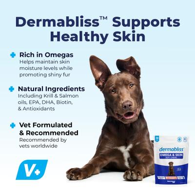 Show full view: Vetnique Labs Dermabliss Omega Skin Health Fish Oil Salmon Flavored Soft Chew Skin & Coat Supplement for Dogs, 30 count slide 4 of 11