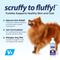 Show in main carousel: Vetnique Labs Furbliss Anti-Itch Soothing Oatmeal Shampoo for Dogs & Cats, 16-fl oz bottle slide 3 of 8