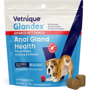 Vetnique Labs Glandex Advanced Vet Strength Duck & Bacon Flavor Anal Gland Health Chew Supplement for Dogs, 10 count