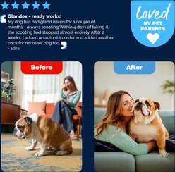 Vetnique Labs Glandex Advanced Vet Strength Duck & Bacon Flavor Anal Gland Health Chew Supplement for Dogs, 10 count slide 2 of 9