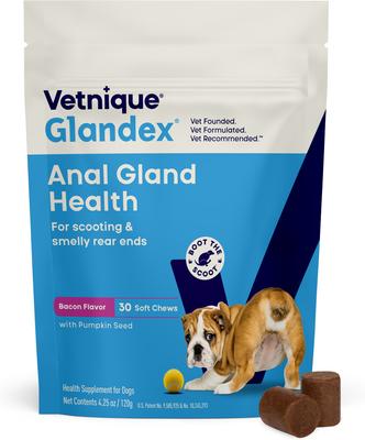 VETNIQUE LABS Glandex Anal Gland Support Soft Chews with Pumpkin