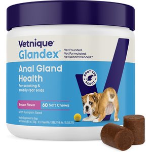 Vetnique Labs Glandex Anal Gland Support Soft Chews with Pumpkin, Digestive Enzymes, Probiotics & Fiber Boot the Scoot Bacon Flavored Supplement for Dogs, 60 count
