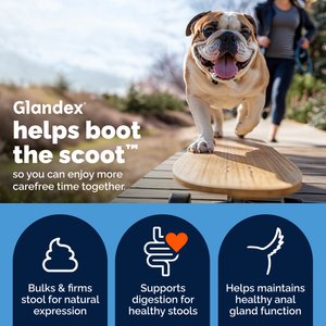 Vetnique Labs Glandex Anal Gland Support Supplement Powder with Beef Liver Flavor for Dogs, 5.5-oz bottle