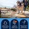 Show in main carousel: Vetnique Labs Glandex Anal Gland Support Supplement Powder with Beef Liver Flavor for Dogs, 5.5-oz bottle slide 4 of 11