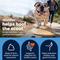 Show in main carousel: Vetnique Labs Glandex Dog Anal Gland Support Soft Chews with Pumpkin, Digestive Enzymes, Probiotics & Fiber Supplement Boot The Scoot Peanut Butter Flavored, 120 count slide 4 of 11