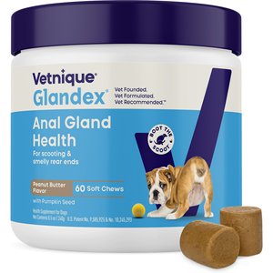 Vetnique Labs Glandex Dog Anal Gland Support Soft Chews with Pumpkin, Digestive Enzymes, Probiotics & Fiber Supplement Boot The Scoot Peanut Butter Flavored, 60 count