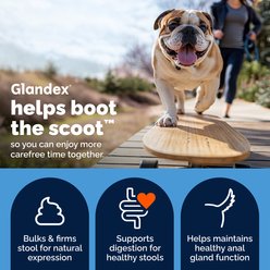 Vetnique Labs Glandex Dog Anal Gland Support Soft Chews with Pumpkin, Digestive Enzymes, Probiotics & Fiber Supplement Boot The Scoot Peanut Butter Flavored, 60 count slide 2 of 9