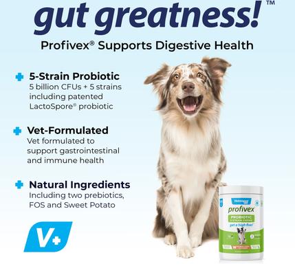 Show full view: Vetnique Labs Profivex Probiotic Digestive Health, Prebiotic & Fiber Soft Chew Supplement for Dogs, 120 count slide 4 of 11
