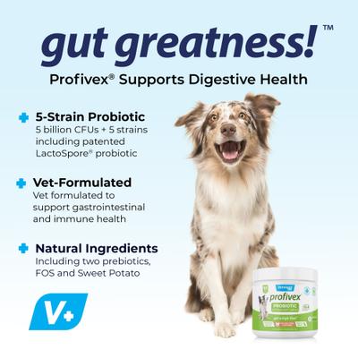 Show full view: Vetnique Labs Profivex Probiotic Digestive Health, Prebiotic & Fiber Soft Chew Supplement for Dogs, 60 count slide 4 of 12