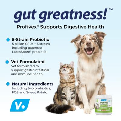 Show full view: Vetnique Labs Profivex Probiotic for Digestive Health Prebiotic & Fiber Pork Liver Flavored Dog & Cat Powder Supplement, 4.25-oz jar slide 4 of 12