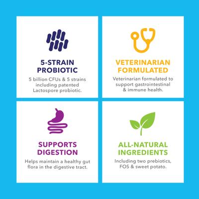 Show full view: Vetnique Labs Profivex Probiotic for Digestive Health Prebiotic & Fiber Pork Liver Flavored Dog & Cat Powder Supplement, 8.5-oz jar slide 5 of 11