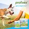 Show in main carousel: Vetnique Labs Profivex Probiotic for Digestive Health Prebiotic & Fiber Pork Liver Flavored Dog & Cat Powder Supplement, 8.5-oz jar slide 8 of 11