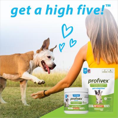 Show full view: Vetnique Labs Profivex Probiotic for Digestive Health Prebiotic & Fiber Pork Liver Flavored Dog & Cat Powder Supplement, 8.5-oz jar slide 9 of 11