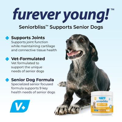 Show full view: Vetnique Labs Seniorbliss Hip & Joint Mobility Plus Multivitamin Glucosamine Hickory Chicken & Bacon Flavored Soft Chew Supplement for Senior Dogs, 60 count slide 4 of 11