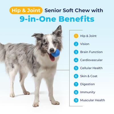 Show full view: Vetnique Labs Seniorbliss Hip & Joint Mobility Plus Multivitamin Glucosamine Hickory Chicken & Bacon Flavored Soft Chew Supplement for Senior Dogs, 60 count slide 7 of 11