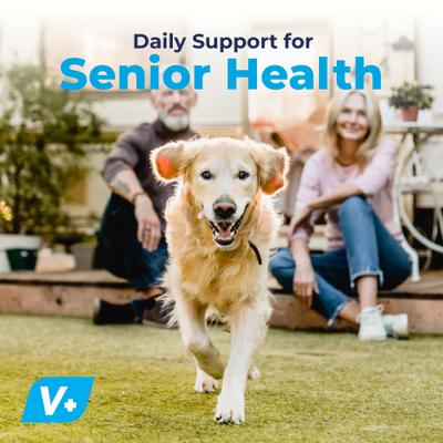 Show full view: Vetnique Labs Seniorbliss Hip & Joint Mobility Plus Multivitamin Glucosamine Hickory Chicken & Bacon Flavored Soft Chew Supplement for Senior Dogs, 60 count slide 8 of 11