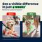 Show in main carousel: Vetnique Labs YuMOVE Hip & Joint Health Glucosamine Hyaluronic Acid Green Lipped Mussel & Omega 3, Chewable Tablet Supplement for Young Adult through Senior Dog, 300 count slide 4 of 10