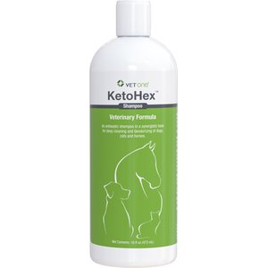 VetOne KetoHex Antiseptic Pet Shampoo, 16-oz bottle