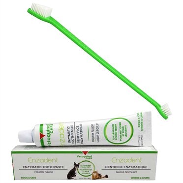 Cat Toothpaste - Free shipping | Chewy