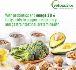 Vetoquinol Epic Daily Immune Support Powder Horse Supplement, 4.4-lb bucket slide 2 of 7