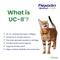 Show in main carousel: Vetoquinol Flexadin Advanced with UCII Collagen Soft Chews Joint Supplement for Dogs & Cats, 30 count slide 5 of 9