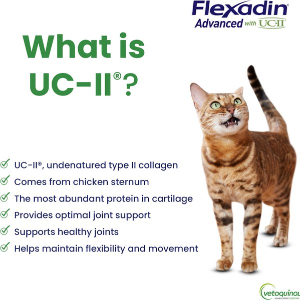 Show full view: Vetoquinol Flexadin Advanced with UCII Collagen Soft Chews Joint Supplement for Dogs & Cats, 60 count slide 4 of 9