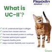 Show in main carousel: Vetoquinol Flexadin Advanced with UCII Collagen Soft Chews Joint Supplement for Dogs & Cats, 60 count slide 4 of 9