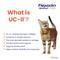 Show in main carousel: Vetoquinol Flexadin with UCII Cat Supplement, 1.59-oz bag, 30 count slide 5 of 9