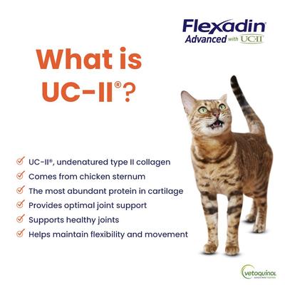 Show full view: Vetoquinol Flexadin with UCII Cat Supplement, 1.59-oz bag, 30 count slide 5 of 9