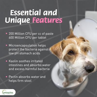 Show full view: Vetoquinol Pro-Pectalin Diarrhea Supplement for Dogs & Cats, 250 count slide 5 of 12