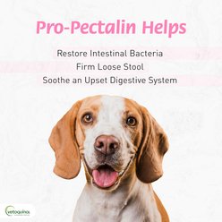 Vetoquinol Pro-Pectalin Diarrhea Supplement for Dogs & Cats, 60 count slide 2 of 8