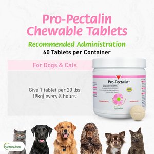 Vetoquinol Pro-Pectalin Diarrhea Supplement for Dogs & Cats, 60 count