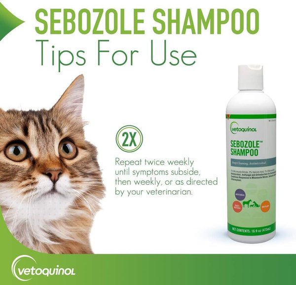 Show full view: Vetoquinol Sebozole Shampoo for Dogs & Cats, 16-fl oz bottle slide 7 of 12