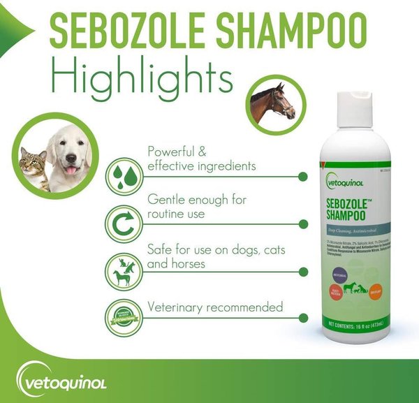 Show full view: Vetoquinol Sebozole Shampoo for Dogs & Cats, 16-fl oz bottle slide 4 of 12