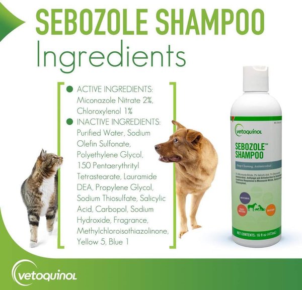 Show full view: Vetoquinol Sebozole Shampoo for Dogs & Cats, 16-fl oz bottle slide 5 of 12