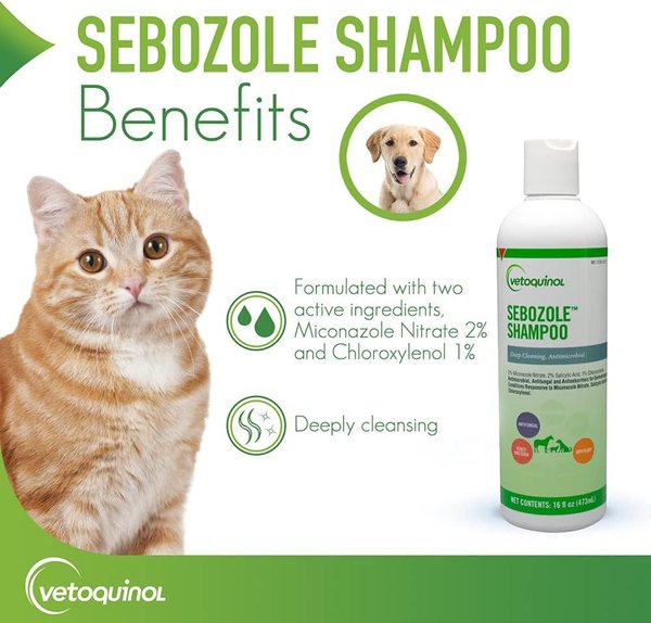 Show full view: Vetoquinol Sebozole Shampoo for Dogs & Cats, 16-fl oz bottle slide 3 of 12